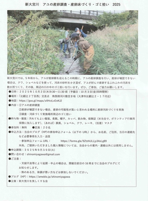 新大宮川　アユの産卵調査・産卵床づくり・ゴミ拾い　2025