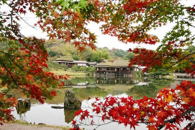 【紅葉・見ごろ】玄宮楽々園（玄宮園）
