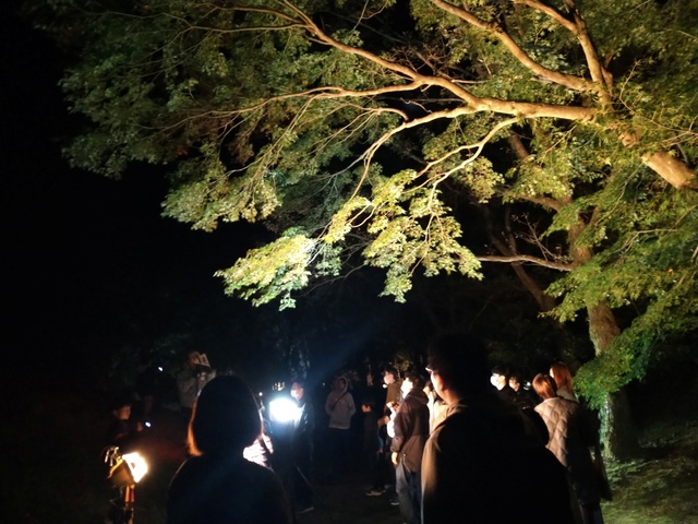 ナイトミュージアム