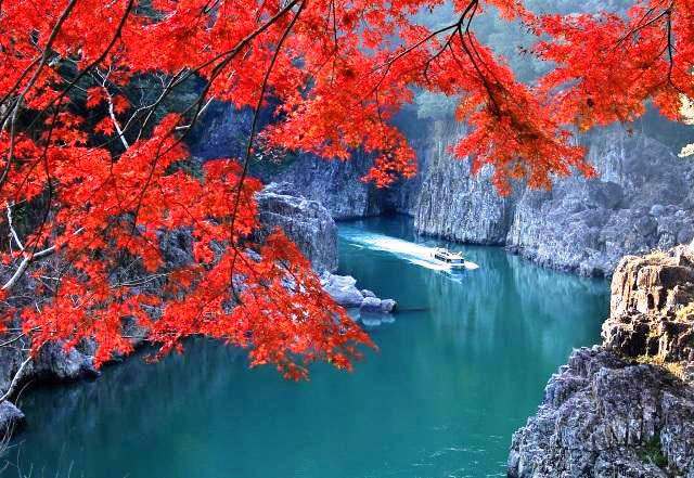 【紅葉・見ごろ】瀞峡