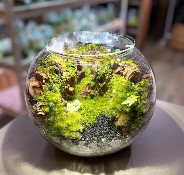 テラリウム展～暮らしに彩を添える小さな自然の世界～