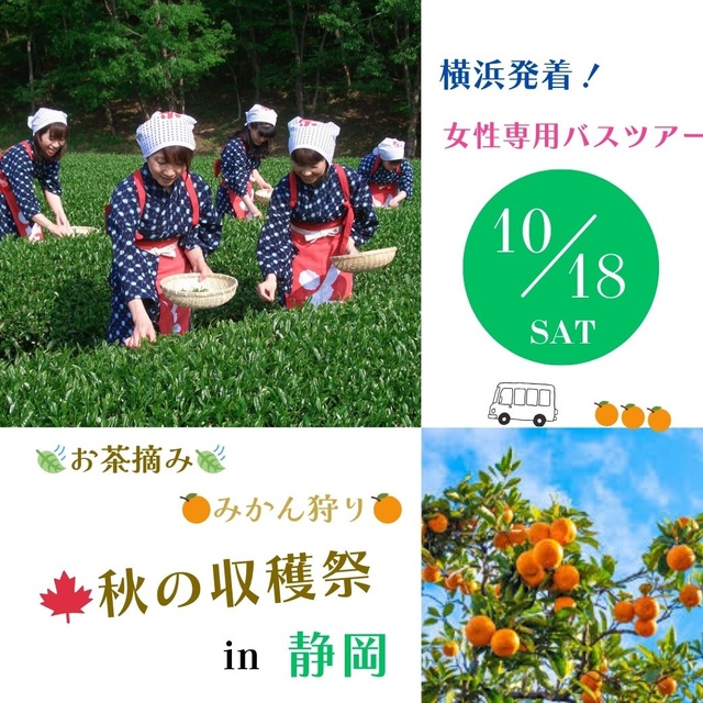横浜発＆女性参加限定！秋の収穫祭 in 静岡お茶摘み娘に変身☆旬のみかん狩り食べ放題