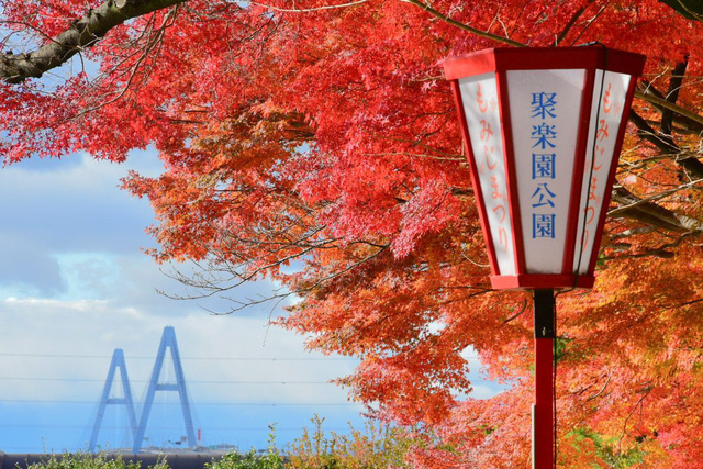 【紅葉・見ごろ】聚楽園