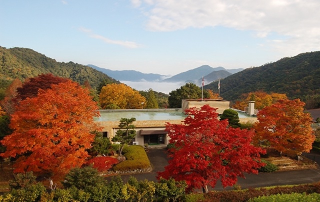 【紅葉・見ごろ】広島県緑化センター
