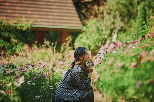 フォトコンテスト2025－Autumn－