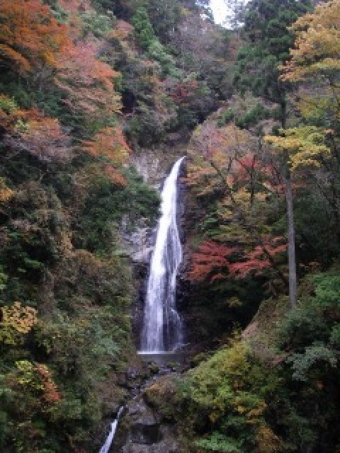 【紅葉・見ごろ】原不動滝