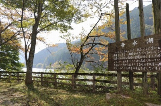 【紅葉・見ごろ】音水湖