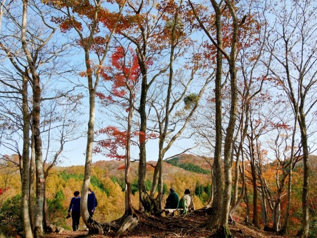 【紅葉・見ごろ】岡山県立森林公園