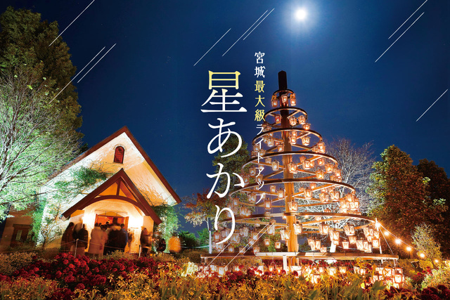 星あかり