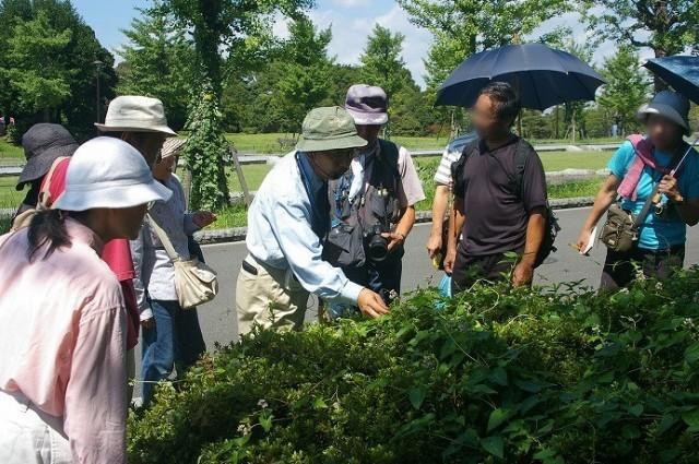 国営昭和記念公園　自然観察ツアー（10月）
