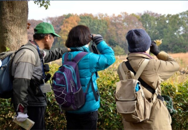 国営昭和記念公園　野鳥観察会（10月）