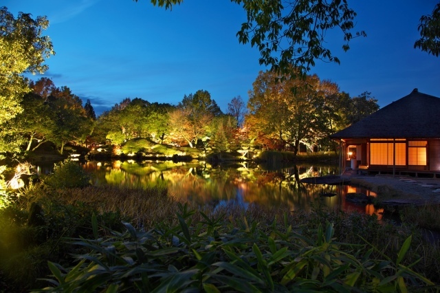 名勝養浩館庭園　秋のライトアップ