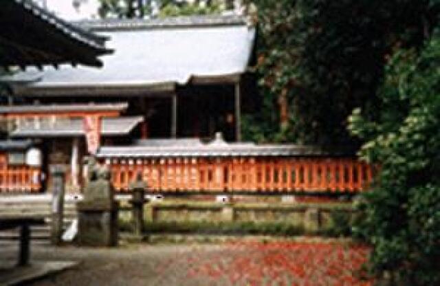 【紅葉・見ごろ】平岡八幡宮