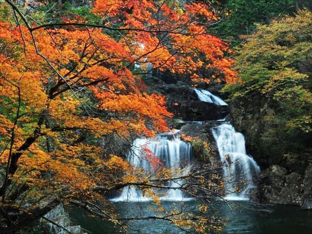 【紅葉・見ごろ】三ツ滝