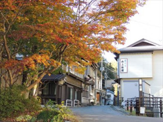 【紅葉・見ごろ】台温泉