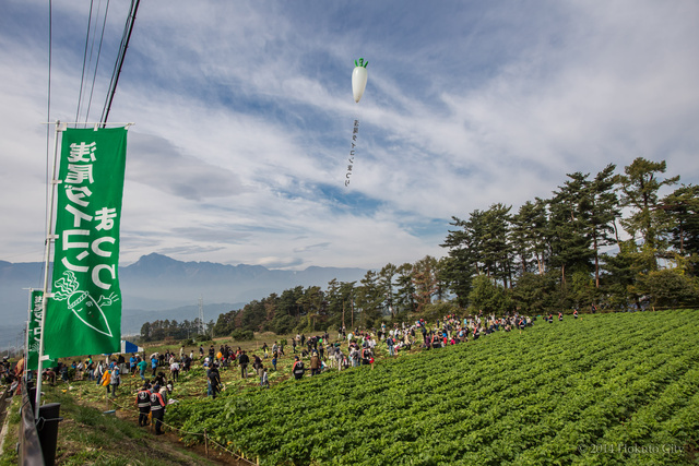 浅尾ダイコンまつり