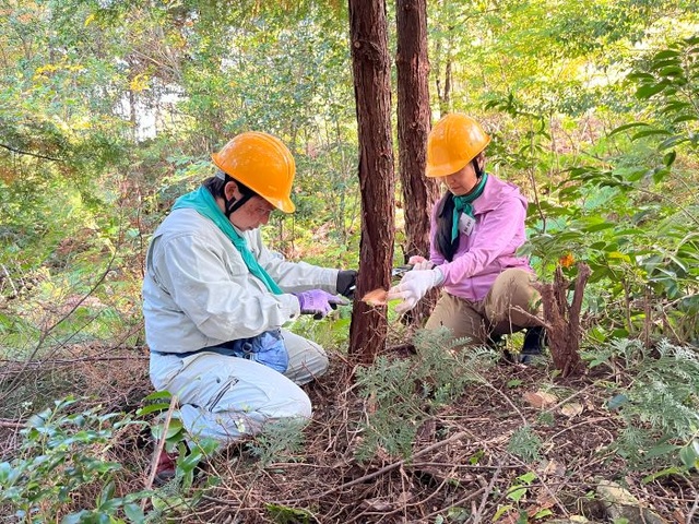 高取山・森林ボランティア in 滋賀県多賀町