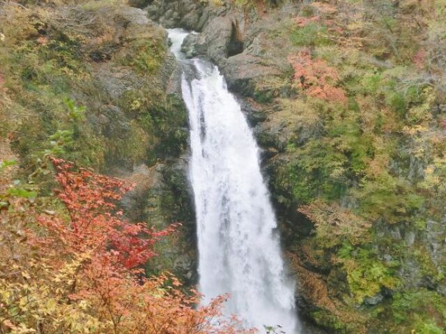 【紅葉・見ごろ】秋保大滝