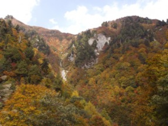 【紅葉・見ごろ】秋山林道