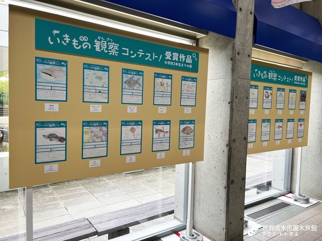 いきもの観察コンテスト! 受賞作品を展示