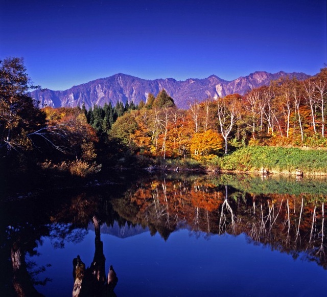 【紅葉・見ごろ】天池
