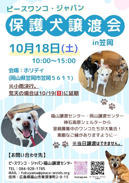 保護犬譲渡会 in笠岡（10月）