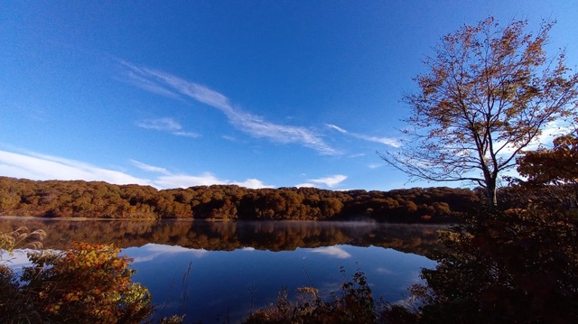 【紅葉・見ごろ】野々海高原