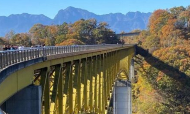 【紅葉・見ごろ】八ヶ岳高原大橋