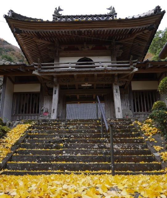 【紅葉・見ごろ】甘南備寺