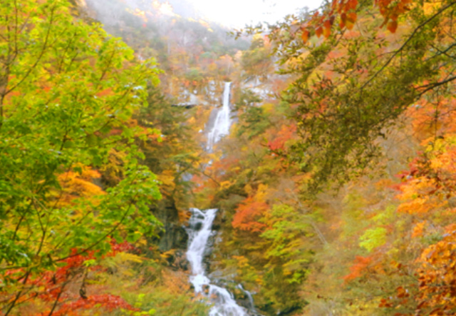 【紅葉・見ごろ】精進ヶ滝と石空川渓谷