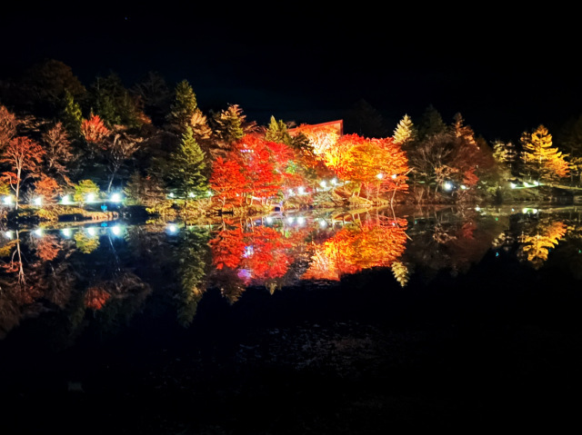 2025茶臼山高原紅葉ライトアップ
