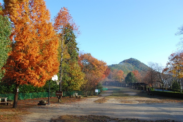 【紅葉・見ごろ】みのかも健康の森