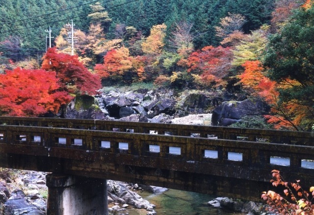 【紅葉・見ごろ】佐見川峡