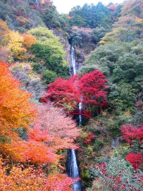 【紅葉・見ごろ】五宝滝
