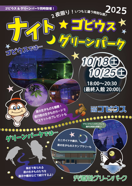 ナイトゴビウス2025