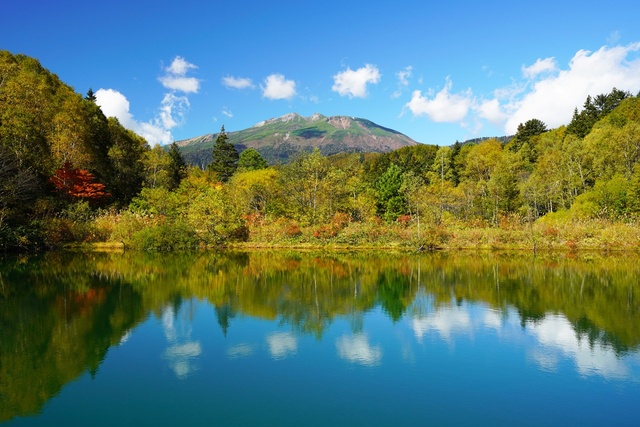 【紅葉・見ごろ】野麦峠