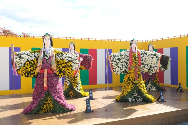 第113回南陽の菊まつり（花公園会場）