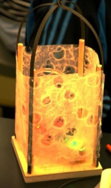 科学教室「電子工作「虹色に光るオブジェ」」