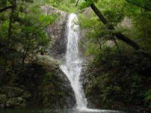 【紅葉・見ごろ】深谷の滝