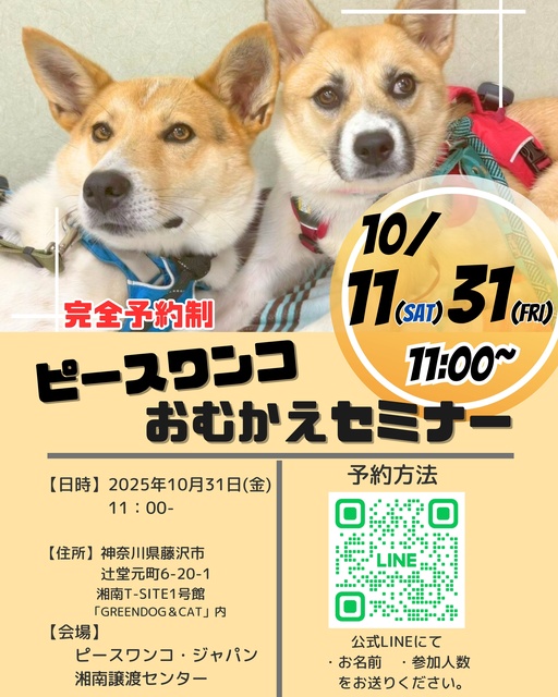 保護犬お迎えセミナー
