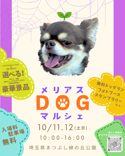 わんことハロウィン メリアスdogマルシェin埼玉県営まつぶし緑の丘公園