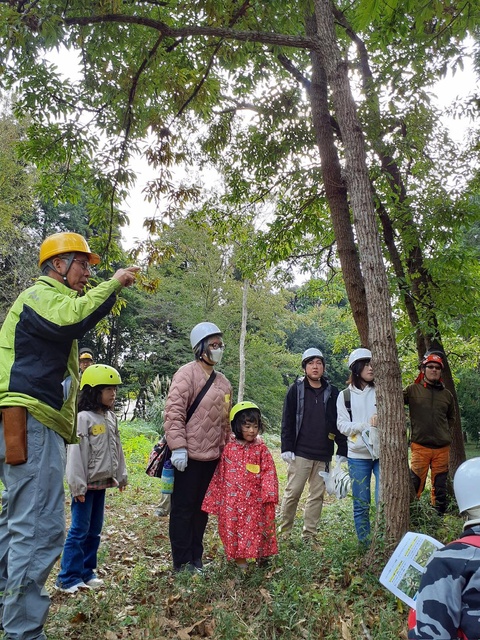 秋の里山観察会