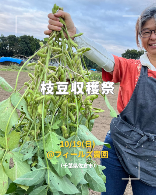 枝豆収穫祭