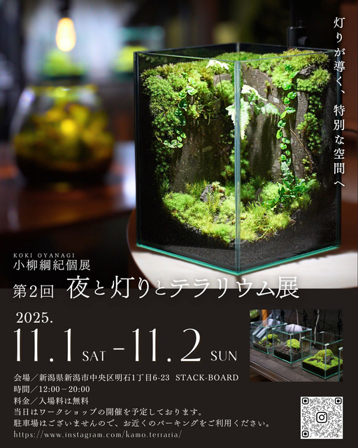小柳 綱紀 第2回「夜と灯りとテラリウム展」