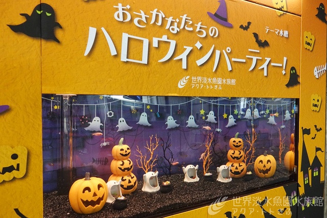 テーマ水槽『おさかなたちのハロウィンパーティー』