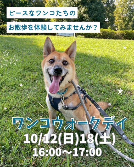 ワンコウォークデイ（世田谷譲渡センター）