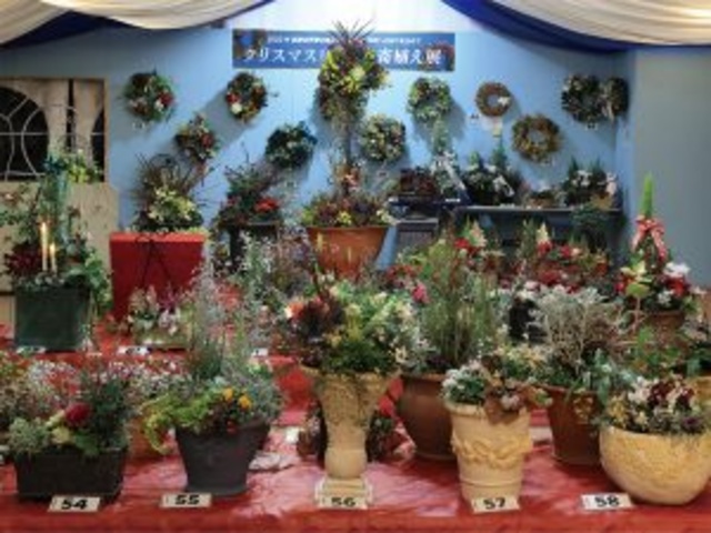 第6回クリスマスリース&寄植えの芸術展