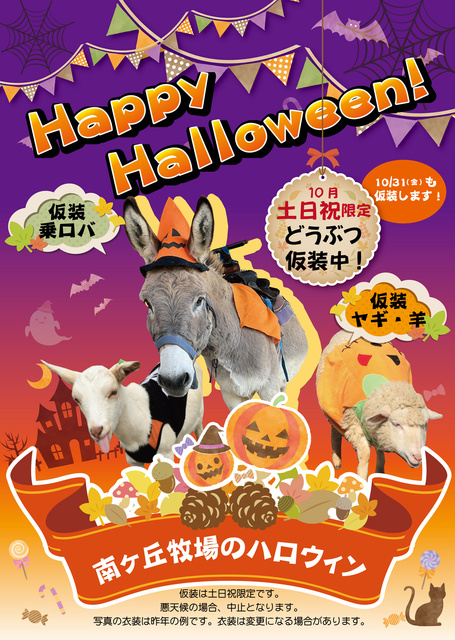 南ヶ丘牧場のハロウィン