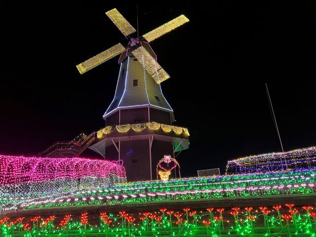 第14回　光がつくる“Art”水郷桜イルミネーション