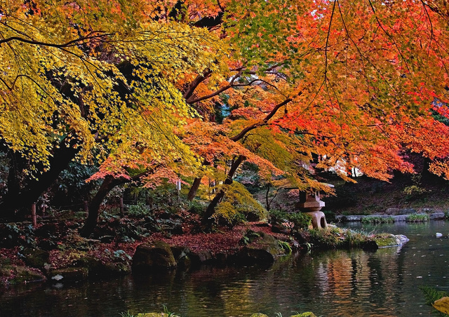 第26回　成田山公園紅葉まつり